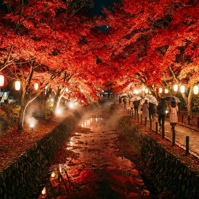 Illuminated Maple Corridor at Lake Kawaguchiko in autumn